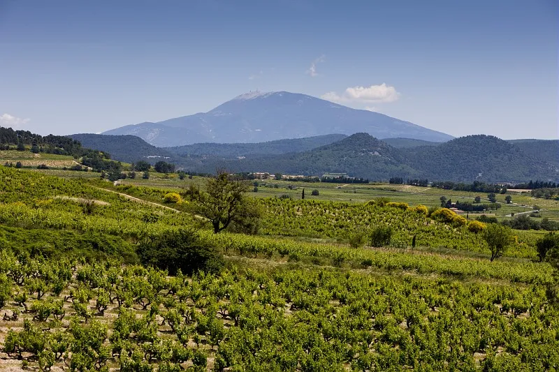 Cairanne, l’équilibriste du sud
