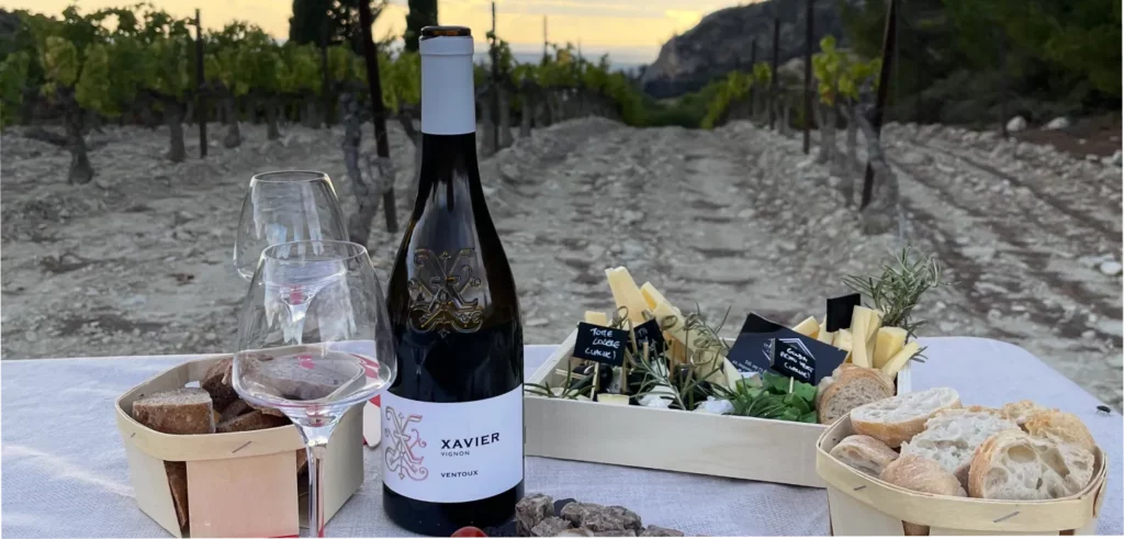 Oenotourisme chez Xavier Vignon.