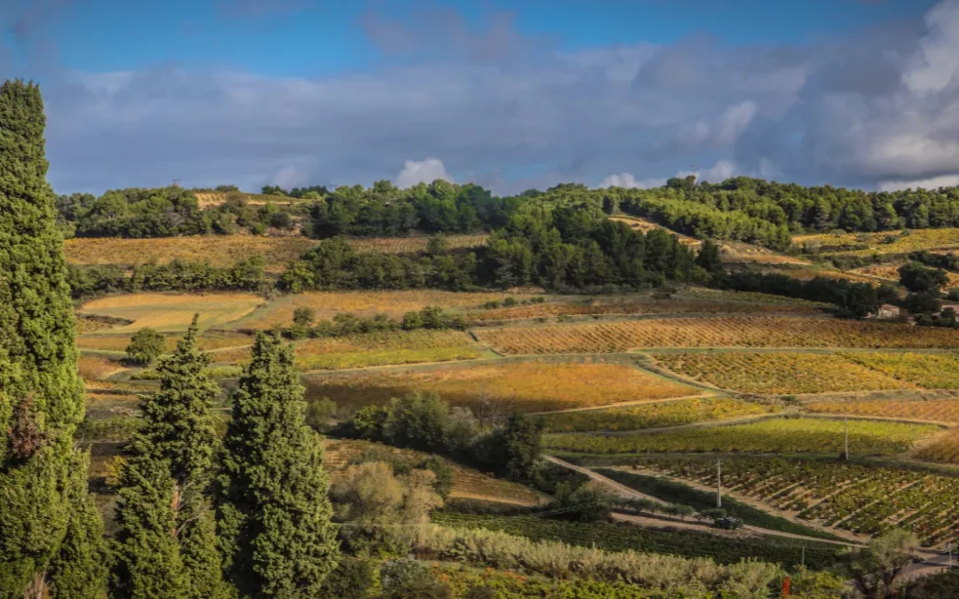 Rasteau: The Sunlit Cru.