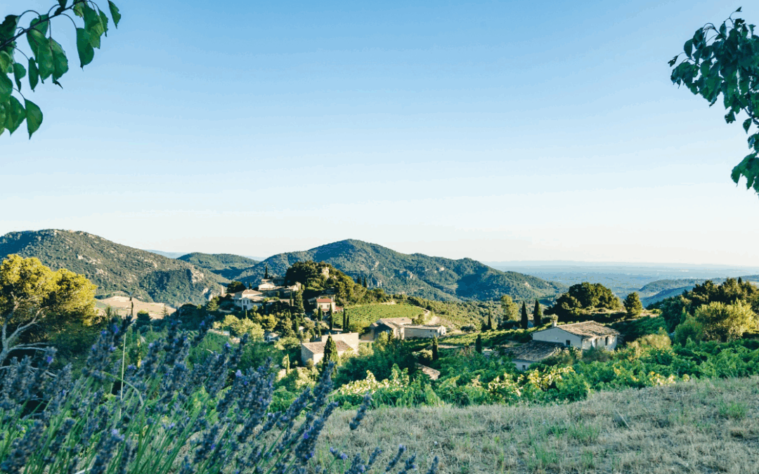 5 Questions sur l’Appellation Beaumes-de-Venise et Ses Vins.