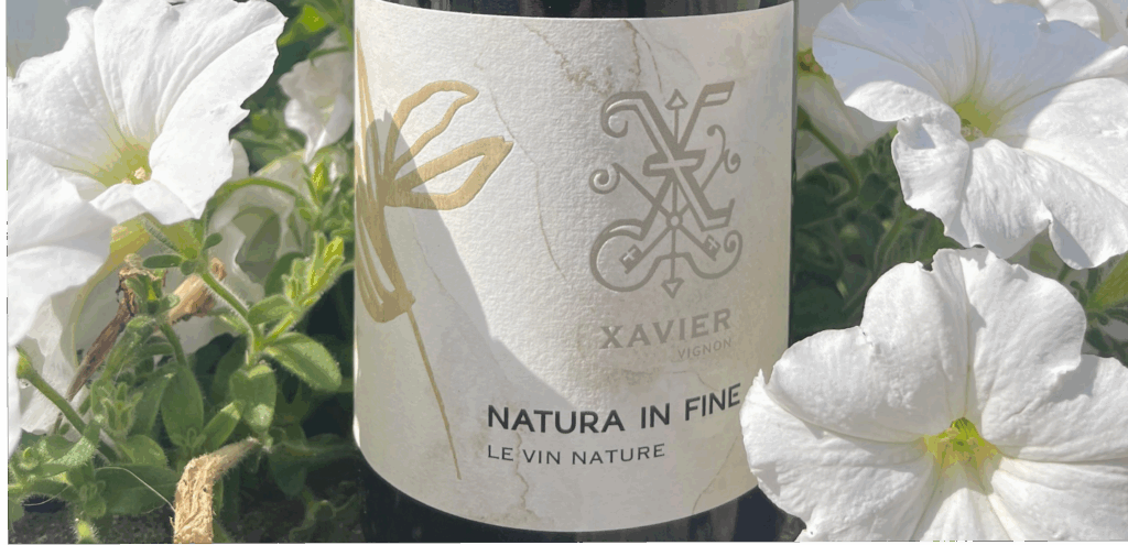 Le vin naturel : effet de mode ou vraie révolution ?