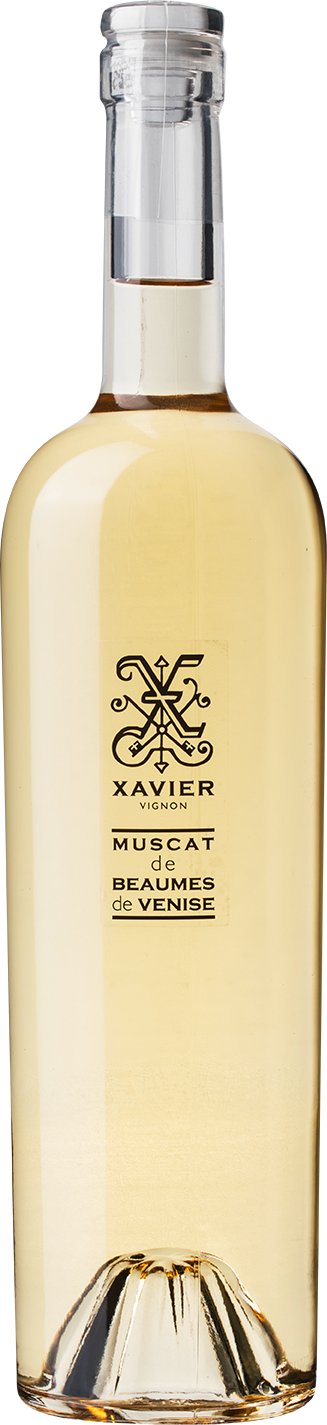 Muscat white