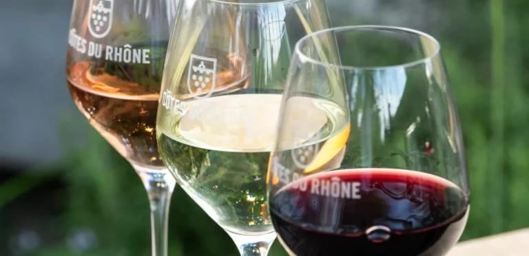 Les arômes du vin : comment le vin développe-t-il sa palette aromatique ?